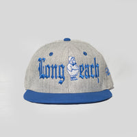 Long Beach Snap Back in Grey